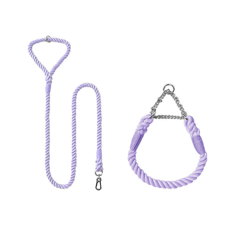 Discover the Perfect Companion for Your Dog's Adventures